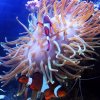 ImageUploadedByTapatalk1390197688.635659.jpg