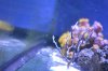 DSC_1040_zps058b20c5.jpg
