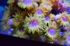 DSC_1052_zpsb7b2c06f.jpg
