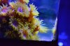 DSC_1048_zps14886d97.jpg