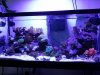 30 gallon.jpg