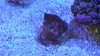 20140129_155037.jpg