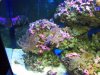 DSCF7227_zpsfa3a679d.jpg