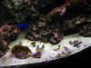 DSCF7228_zps1bca2f9e.jpg