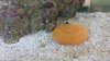 20140203_105407.jpg