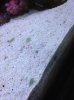 IMG_0206.jpg