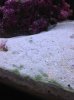 IMG_0207.jpg