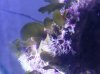 20140207_105236.jpg