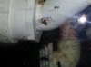 uploadfromtaptalk1391918953720.jpg
