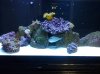 20140209_212030.jpg