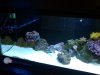 20140209_212323.jpg