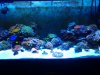 20140210_215454.jpg