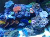 20140210_215542.jpg
