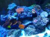 20140210_215503.jpg