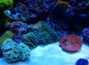 20140210_215648.jpg