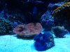 20140210_215912.jpg