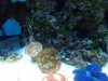 20131229_133543.jpg