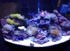 20130408_162628.jpg