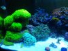 20140205_182507.jpg