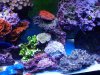 20131130_114711.jpg