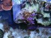 1798024_10203064164275033_307750513_n.jpg