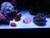 20131219_211608.jpg
