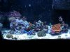 1901535_10203082006081067_373916593_n.jpg