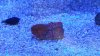 20140218_145146.jpg