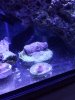 20140221_105045.jpg