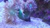 20140223_141152.jpg