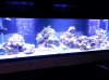 20140226_194856.jpg