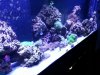20140226_194903.jpg
