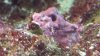 20140304_173257.jpg