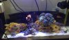 fts.jpg