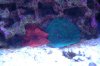 DSC_1557.jpg