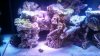uploadfromtaptalk1394565199315.jpg