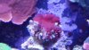20140303_211020.jpg