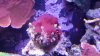 20140303_211053.jpg