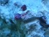 20140312_142404.jpg