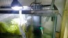 WP_20140315_001.jpg