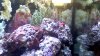picture000.jpg