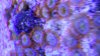 20140320_095256.jpg