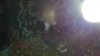 20140320_100341.jpg