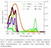 93304Zooxanthellae_Absorbance.jpg