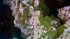 20140319_170937.jpg