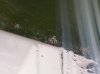 20140321_144416.jpg