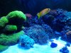 20140318_184946.jpg