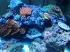 20140205_182410.jpg