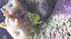 20140329_184341.jpg