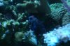 DSC03670.JPG